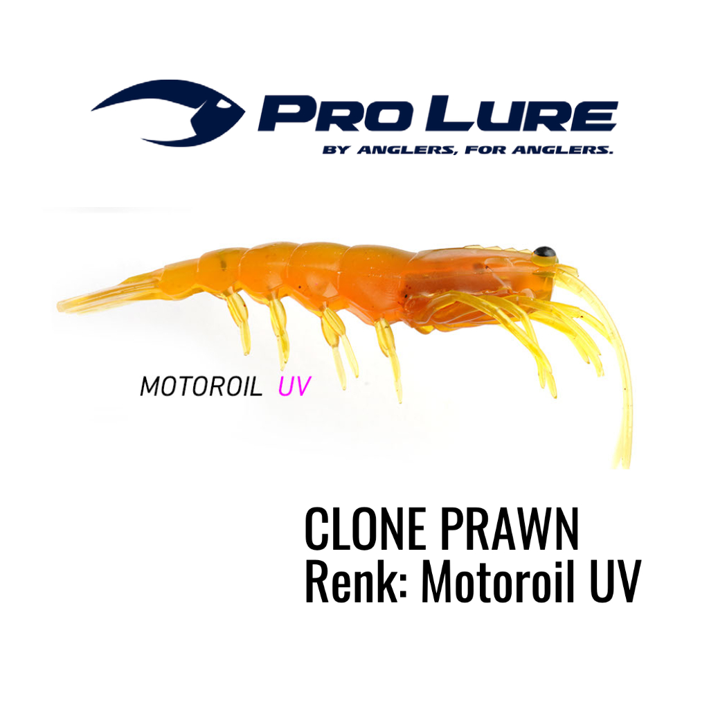 Pro Lure Clone Prawn Karides