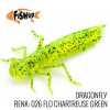 DRAGONFLY - Thumbnail (5)