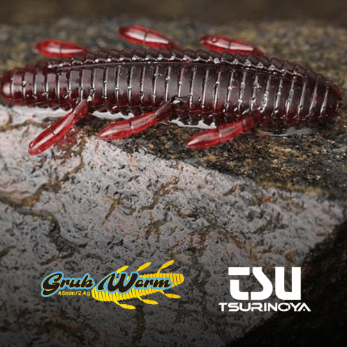 Insecta - 12