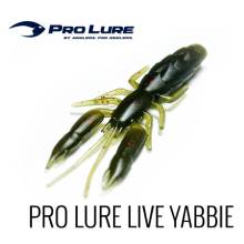 LIVE YABBIE