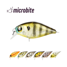Bite 40