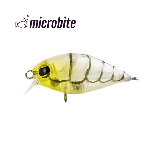 Bite 40 - 1