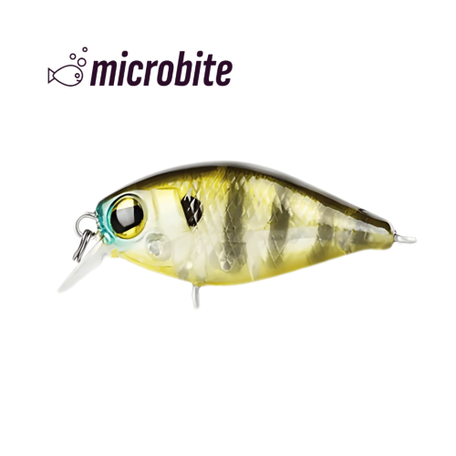 Bite 40 - 2