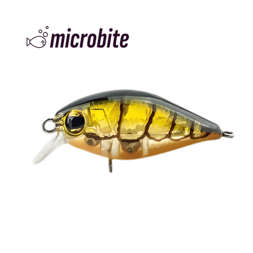 Bite 40 - 4