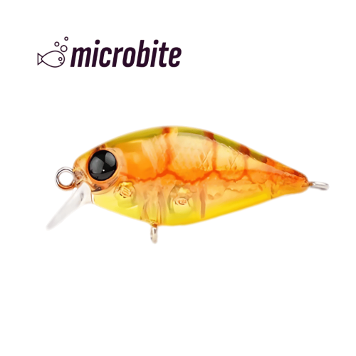 Bite 40 - 6