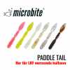 PADDLE WORM - Thumbnail (2)