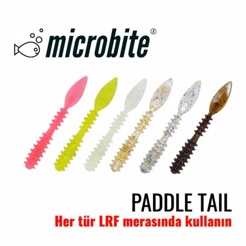 PADDLE WORM - 1