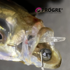 Progre Micro Search - Thumbnail (3)