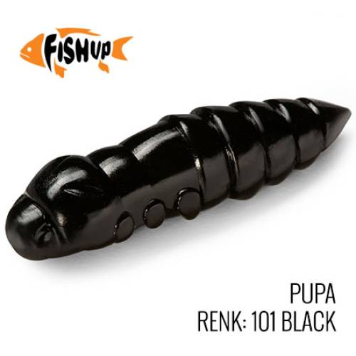 PUPA - 3